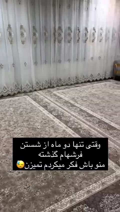 فرش شور ومبل شور هیلبرون