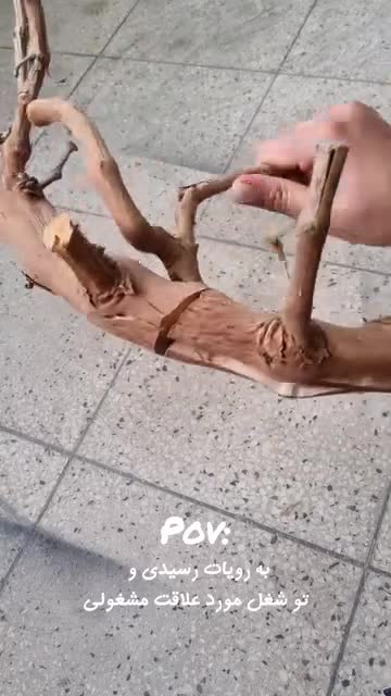 شلف دیواری مکرومه پاپیروس 