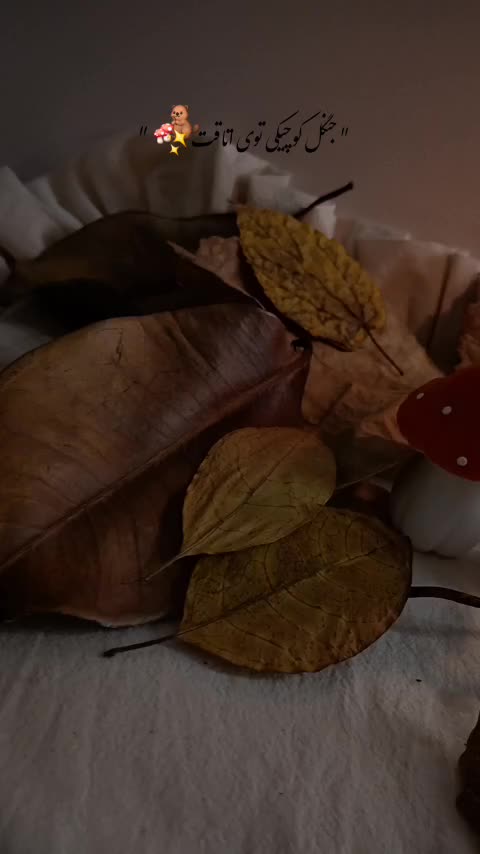 قارچ و کدو دکوری بسته 3 عددی
