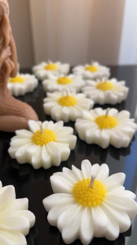 شمع بابونه بسته ( 100 عددی )