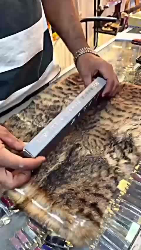چاقوتیزکن حرفه ای