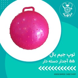 توپ جیم بال دسته دار خاردار سایز 55 بدون پمپ و کارتن