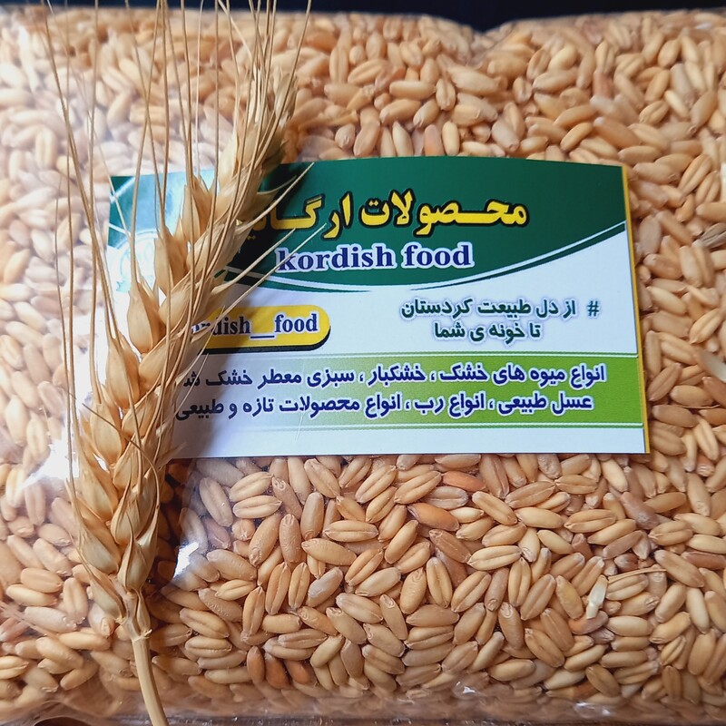 گندم پاک شده با کیفیت عالی (بسته 1 کیلویی)