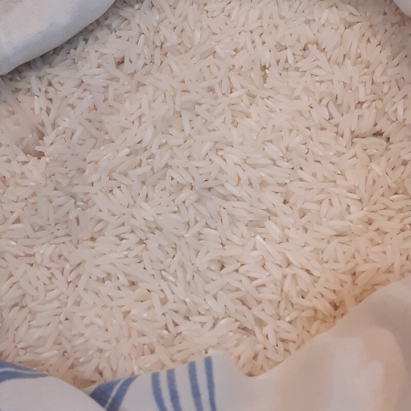 برنج فجر 
