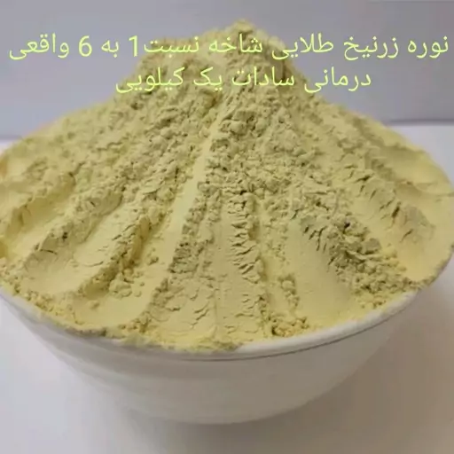 نوره زرنیخ شاخه طلایی 1به 6 واقعی درمانی برند سادات باتضمین کیفیت و تولید اصولی به روش ائمه علیه السلام با وزن 1000گرم