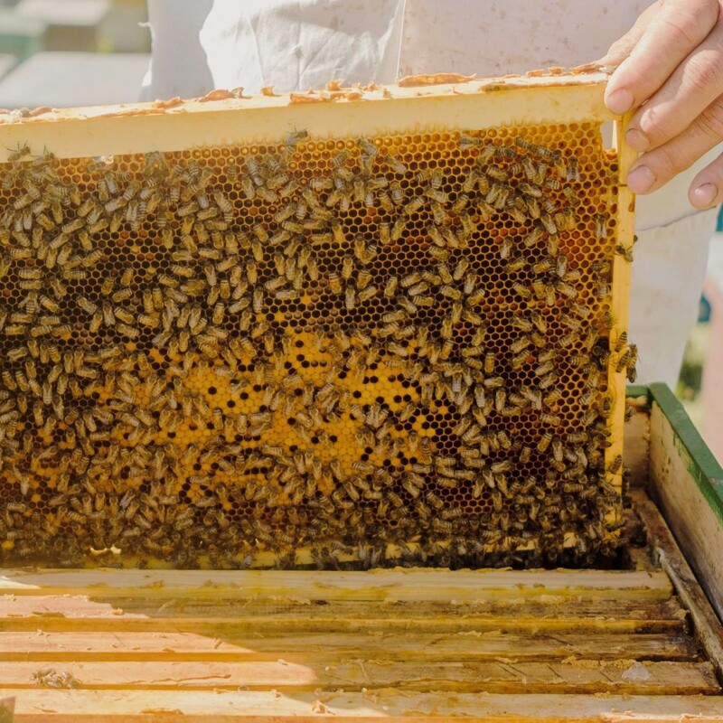 عسل  خوب درجه یک  با کیفیت واقعا عالی 