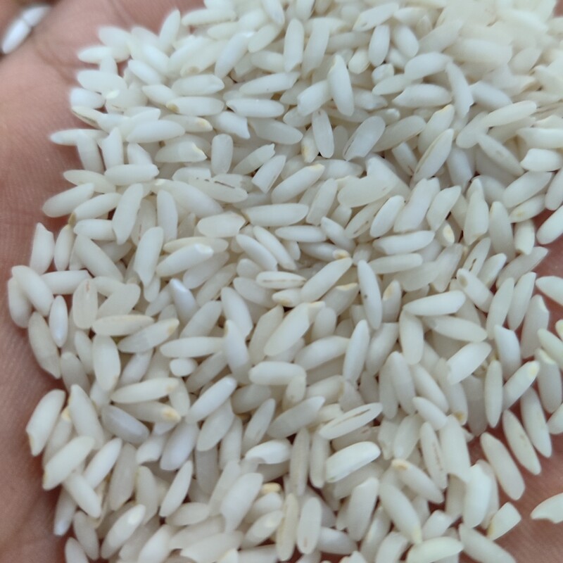 برنج چمپا محلی (10کیلویی)