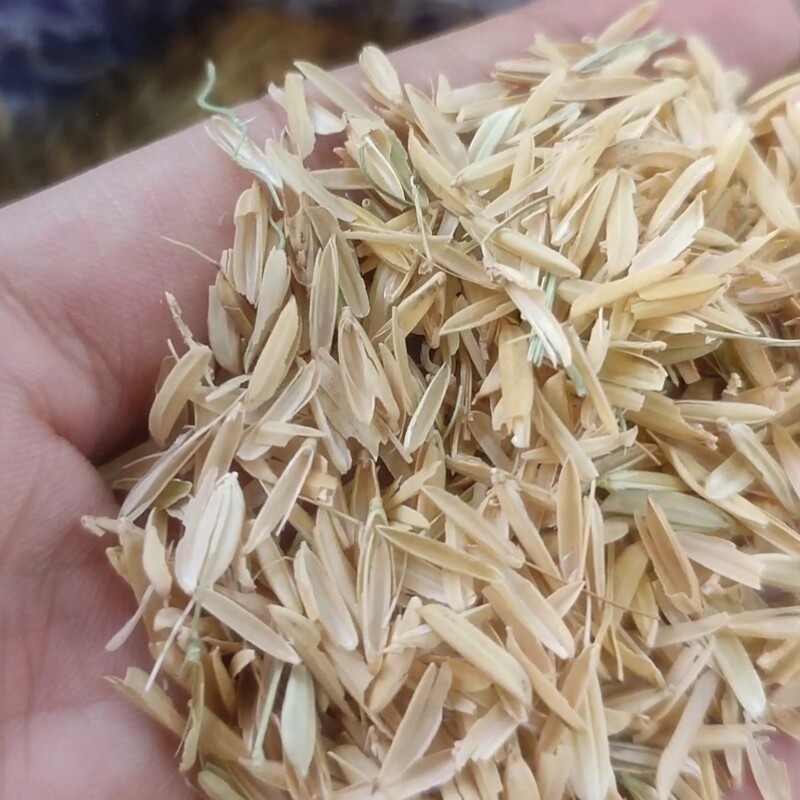 سبوس برنج نسابیده 50 گرمی
