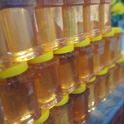 عسل طبیعی اشراق 