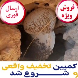 عسل طبیعی گون  آویشن یک کیلویی(ارسال رایگان و فوری)(مستقیم از زنبوردار)