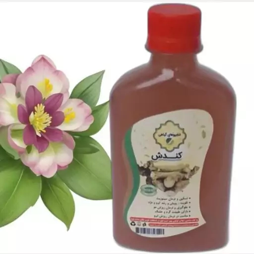 شامپو کندش گیاهی 270 گرمی موسسه پژوهشی طبی بازرگانی سیمرغ (تقویت و رفع ریزش مو،ابرو و مژه،رویش مو افراد با مزاج سرد سر) 