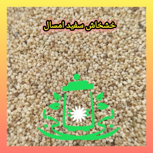  دانه کوکنار  (خشخاش سیاه و آبی طوسی )