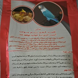 سرلاک  پرنده  طوطیسانان 500گرمی  پارسین 