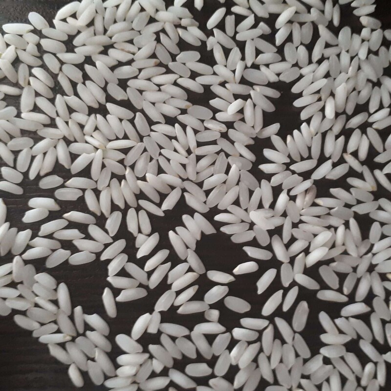 برنج عنبر بو درجه یک 10 کیلویی محصول شالیزارهای جنوب
