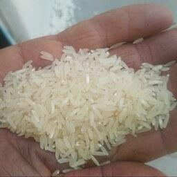 برنج شیرودی در بسته بندی های 20 کیلوگرمی   (هزینه ارسال پس کرایه )