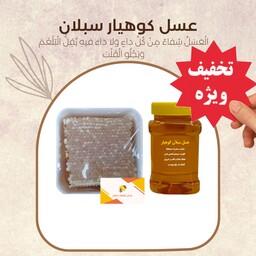 عسل طبیعی سبلان (یک کیلو باموم و یک کیلو بدون موم ) ارسال رایگان پیشنهاد ویژه 