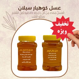 عسل طبیعی صبحانه ( یک کیلو عسل سبلان و یک کیلو عسل چهل گیاه) ارسال رایگان تخفیف ویژه 