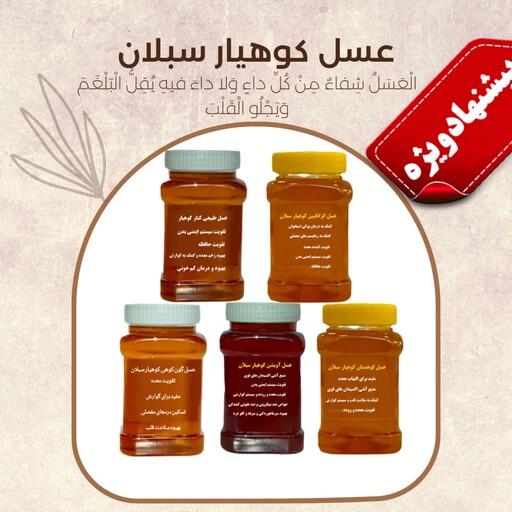 عسل کوهیار طبیعی پک 5 کیلویی ارسال رایگان تخفیف ویژه 