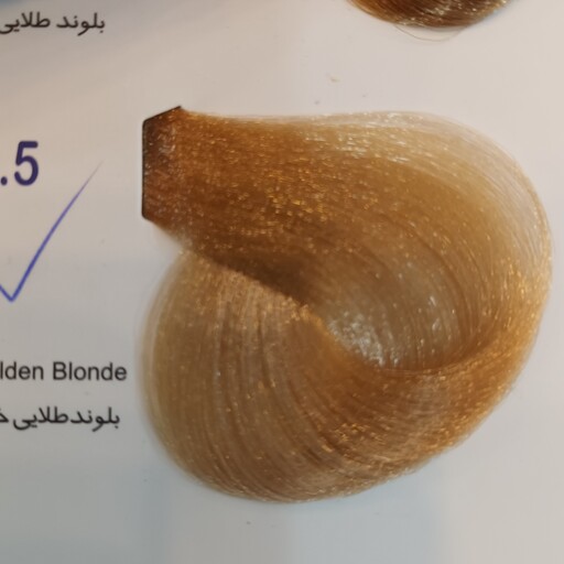 رنگ مو ادگارد بلوند طلایی خیلی خیلی روشن