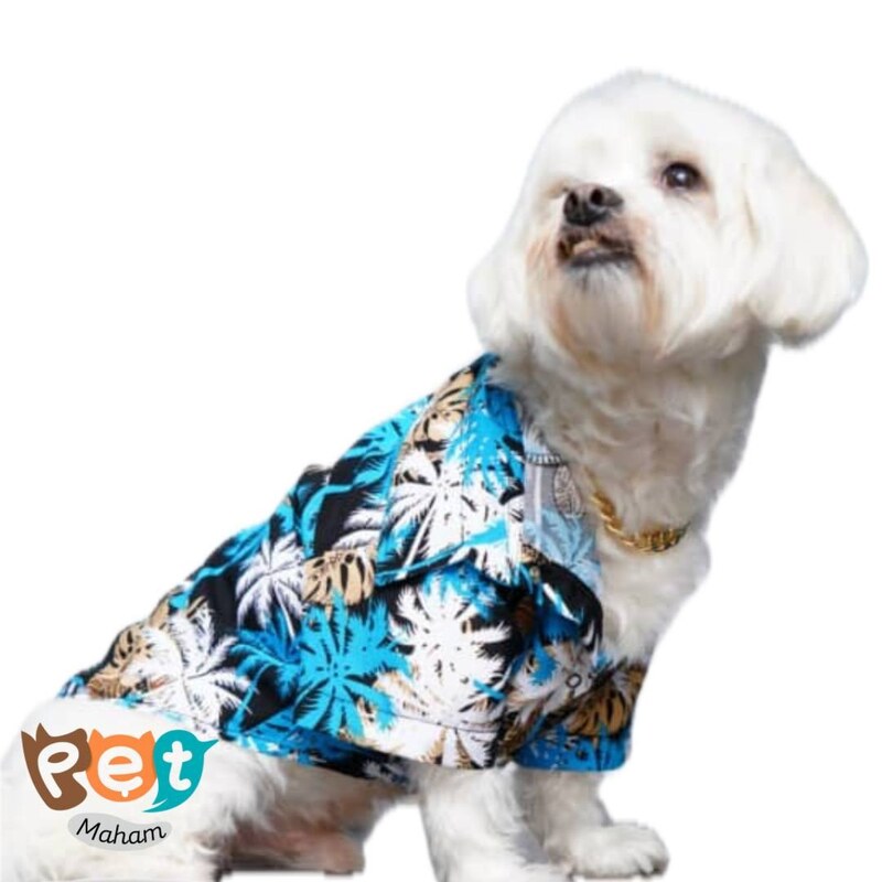 لباس سگ و گربه مدل پیراهن هاوایی مدیم لارج ایکس لارج دو ایکس لارج  آبی یات نخل سفید