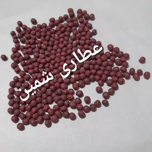 بذر بامیه اصلاح شده (50 عدد)