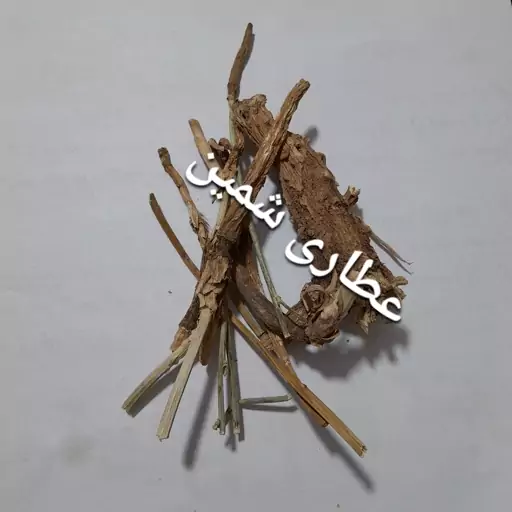 ریشه کاسنی (50 گرم)