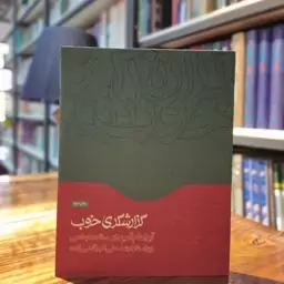 گزارشگری خوب نوشته آبراهام آمیدور و سالومه ابطحی