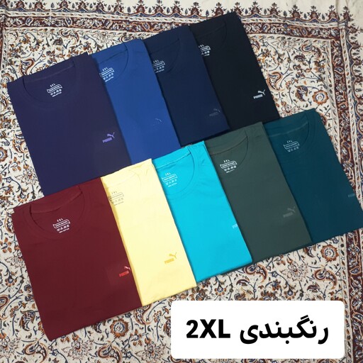 تیشرت مردانه-سایز  دو ایکس لارج- 2xl- رنگبندی متنوع