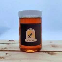 عسل گشنیز و چندگل (1 کیلو)