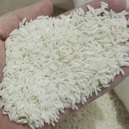 برنج طارم محلی کیسه 10 کیلویی کد 157002