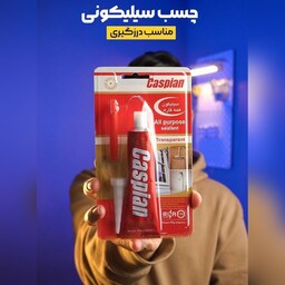 کارتن 40 عددی چسب آکواریوم سیلیکونی شفاف کاسپین حجم 85 گرمی