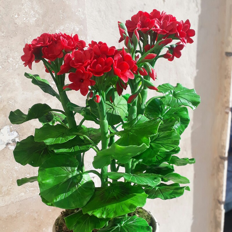 گل شمعدانی با خمیر منعطف نشکن و در سایز های متفاوت این نوع گلدانش 10 سانت هستن مناسب تمام مکان ها