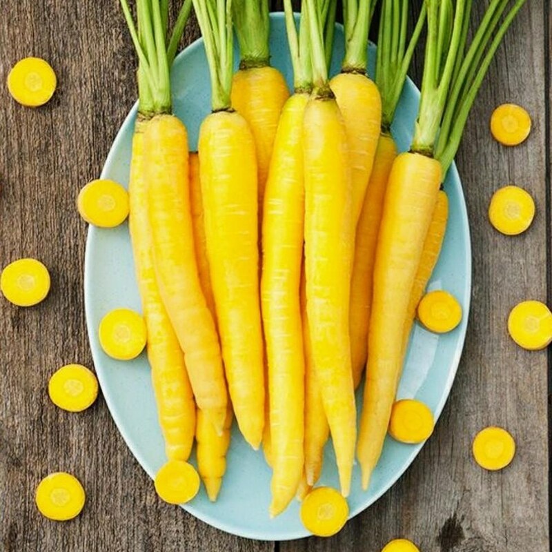 بذر هویج زرد 1 گرم 