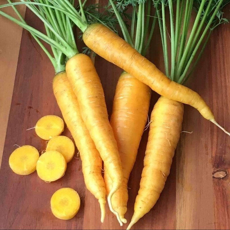 بذر هویج زرد 1 گرم 