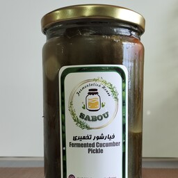 خیارشور تخمیری. 500 گرم. بدون سرکه