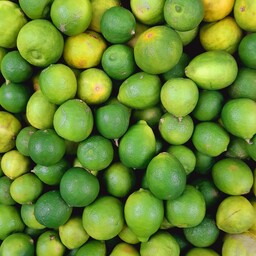 لیمو ترش شیرازی تازه نوبرونه(500)گرم