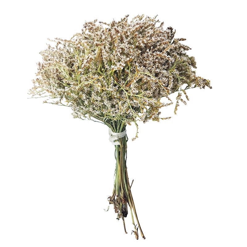 گل خشک مدل لوندر رنگبندی و حجم گل مطابق با عکس مناسب برای گلدان و ساخت دسته گل