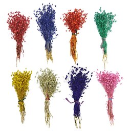 گل  خشک جغجغه ای مناسب برای ساخت دسته گل  ،تزیین گلدان رنگبندی و حجم گل مطابق تصاویر 
