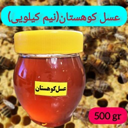 عسل طبیعی کوهستان خوش طعم و عطر(وزن نیم کیلوگرم)