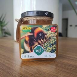 عسل شوید حبیبی، خالص، تغذیه نشده، 470 گرمی 