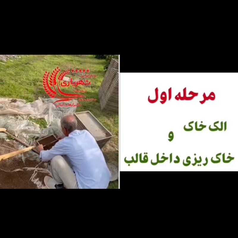 برنج ایرانی شهریاری درجه یک گیلان 5کیلویی