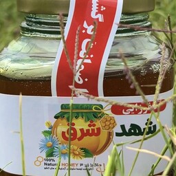 عسل شهد بلوچستان