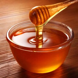 عسل گون طبیعی یک کیلویی