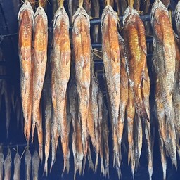 ماهی کپور و آزاد  دودی  ارگانیک  مزرعه سلامت گیتی  ،شکم خالی در بسته بندی  (کیفیت تضمینی) 