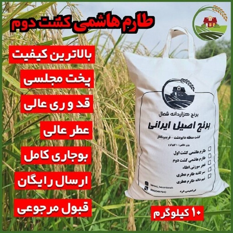 برنج کشت دوم طارم هاشمی فریدونکنار - 10 کیلویی - ارسال رایگان تحویل در باربری - تضمین مرجوعی بی قید و شرط