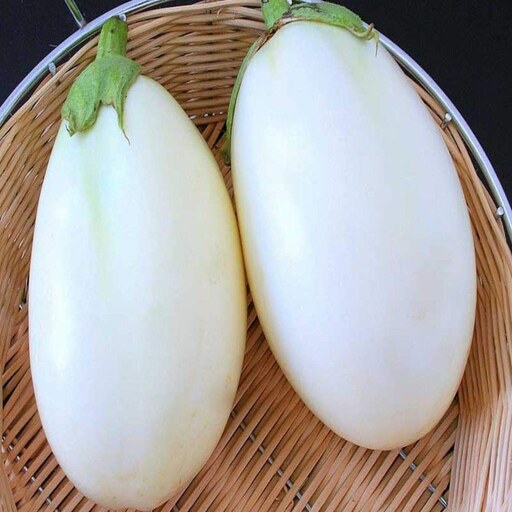 بذر بادمجان دلمه سفید رقم بیانسا توندا - White Eggplant Bianca Tonda