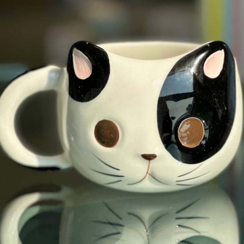 ماگ فانتزی گربه ساخت چین برجسته در سه طرح 