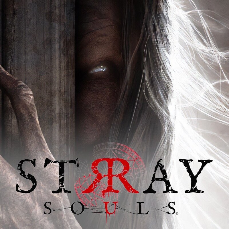 بازی کامپیوتر Stray Souls