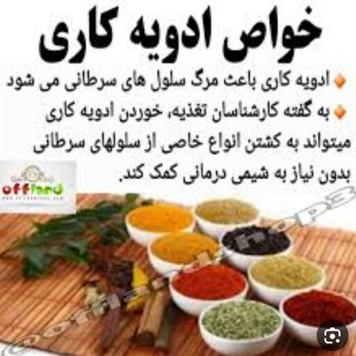 پودر ادویه کاری 25 گرمی