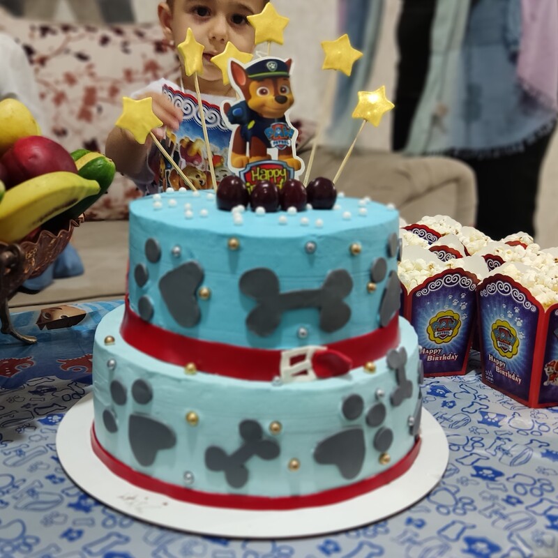 کیک تولد پسرانه سگ های نگهبان3کیلوگرم(ارسال بصورت پس کرایه)